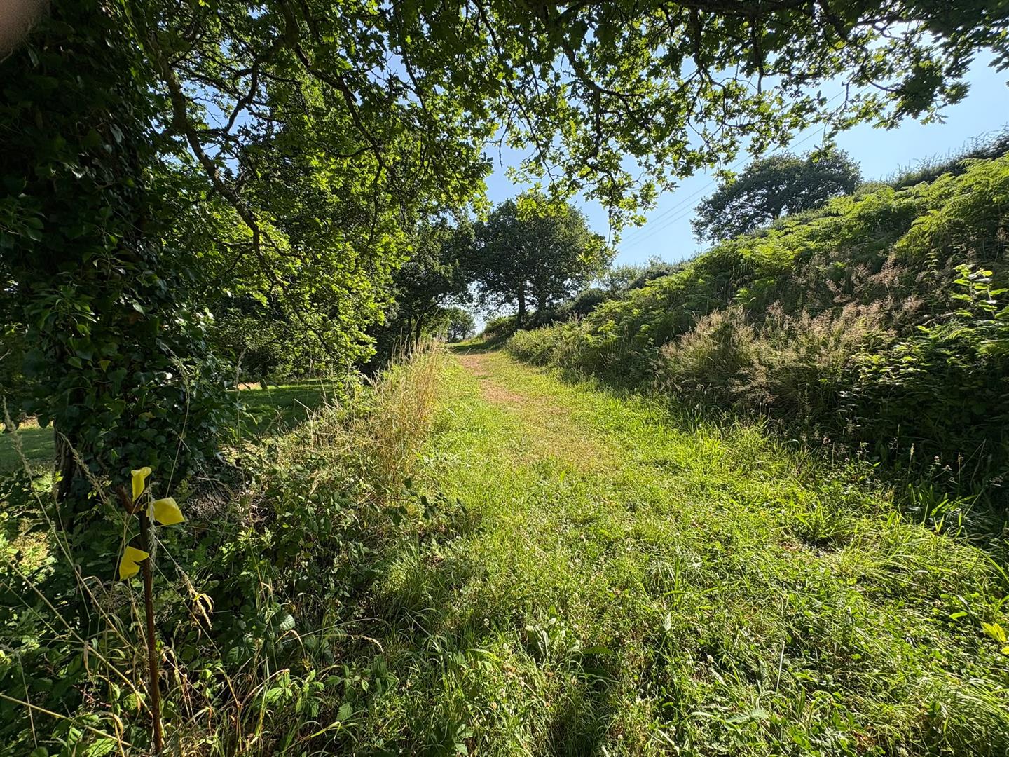 Caepontbren, Pontyates, Llanelli, SA15 5TX
